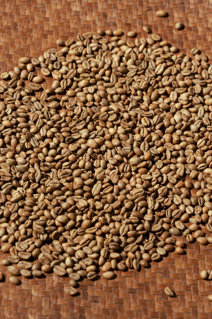 Unroasted coffee beans spread on a woven mat
