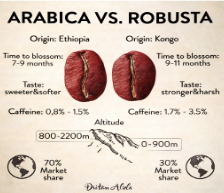 Arabica vs Robusta comparison infographic