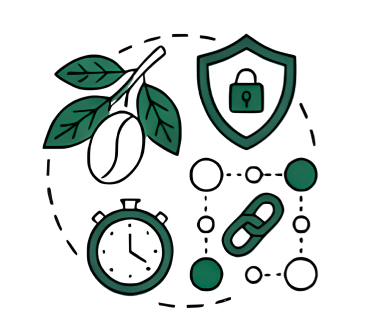QR code, security, and coffee farmer data illustration